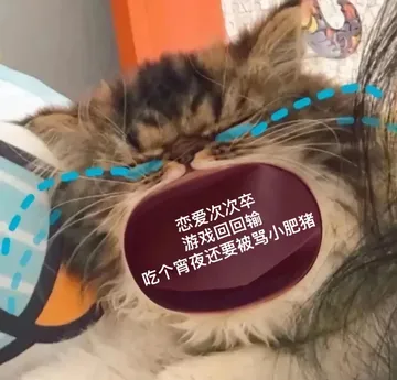 恋爱次次卒吃个宵夜还要被骂小肥猪游戏回回输