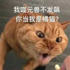 我噬元兽不发飙.你当我是橘猫?