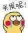 头发呢