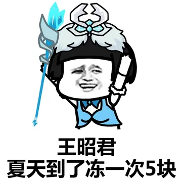 王昭君，夏天到了，冻一次五块