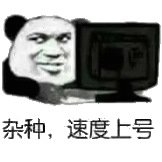 杂种.速度上号