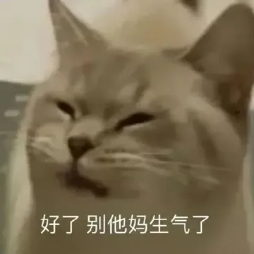 好了别他妈生气了