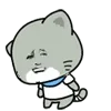 金馆长灰色小猫咪摇头