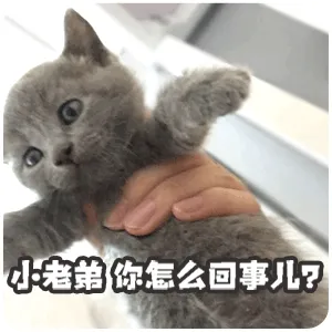 小老第，你怎么回事儿？