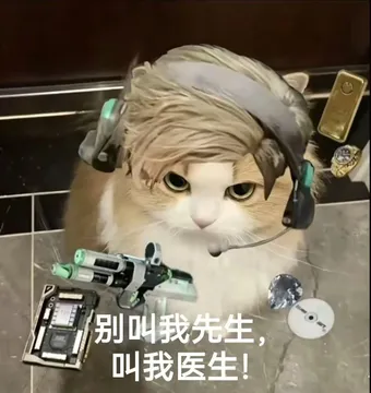 你有哪些好玩的《三角洲行动》表情包?