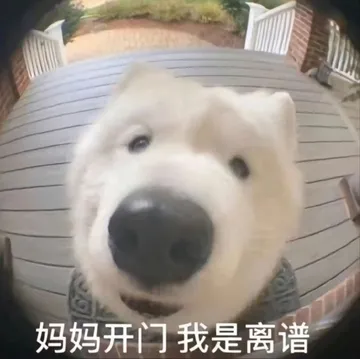 狗子：妈妈开门我是离谱表情包