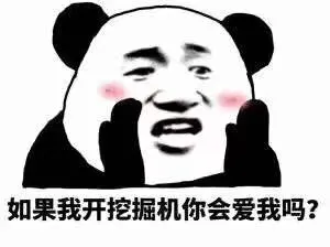如果我开挖掘机你会爱我吗?