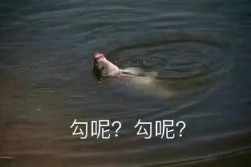 勾呢?勾呢?