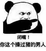 闭嘴！你这个操过猪的男人