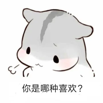仓鼠小猫