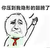 你圧到我的隐形翅膀了
