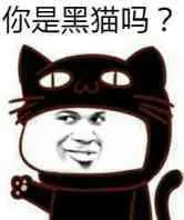 你是黑猫吗?(教皇)