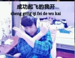 成功起飞的我开 cheng gong qi fei de wo kai