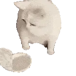 白色小猫恶心呕吐gif表情包