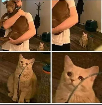 man holding dog but cat is sad