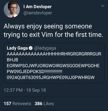 Lady Gaga tries to exit Vim