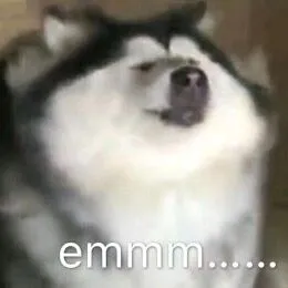 emmm