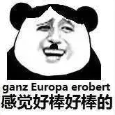 感觉好棒好棒的(熊猫)
