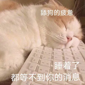 舔狗的疲惫睡着了都等不到你的消息