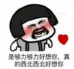 是够力够力好想你.真的西北西北好想你