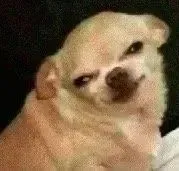 周一发疯表情包