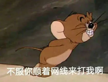 猫和老鼠00061-不服你顺着网线来打我啊