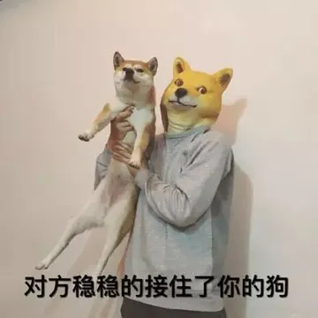 对方稳稳的接住了你的狗！