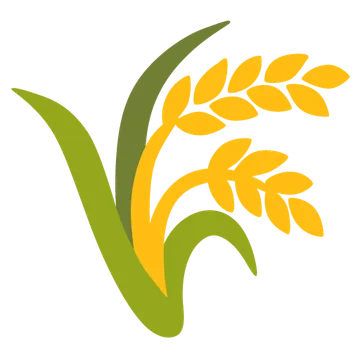Sheaf of rice