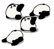 熊猫跪下了！
