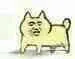 张学友狗狗