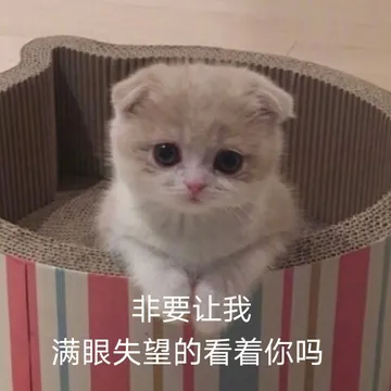非要让我满眼失望的看着你吗