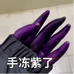 手冻紫了