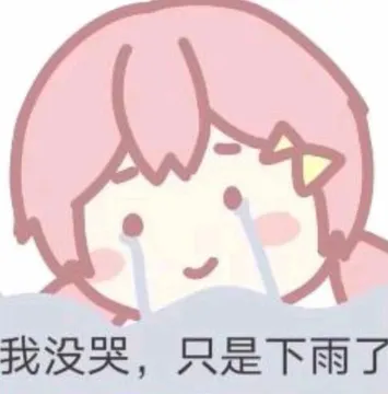 我没哭,只是下雨了