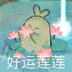 好运莲莲
