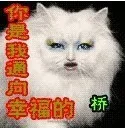 你是通向幸福的桥