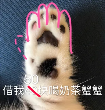 借我50块喝奶茶，蟹蟹