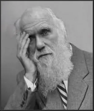 darwin facepalm