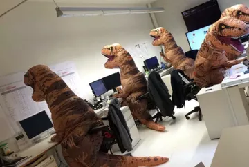 t-rex programmers