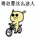 哥问题这么迷人（骑自行车）