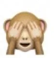 不敢看(猴子)