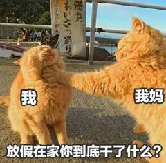 放假在家你到底干了什么?(小猫)