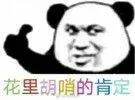 花里胡哨的肯定