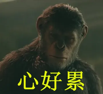 心好累！