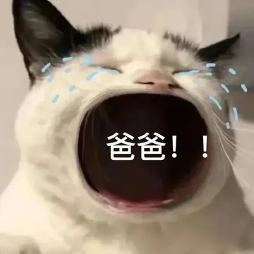 爸爸！！