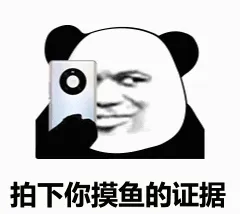 拍下你摸鱼的证据