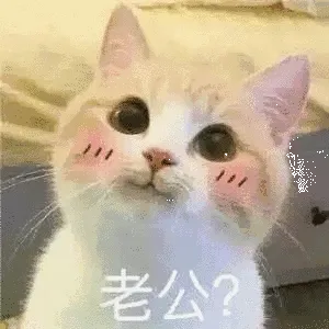 老公?