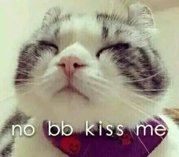 no no kiss me（萌小猫）