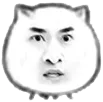 猫脸目瞪口呆