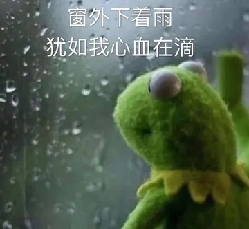 窗外下着雨，犹如我心血在滴