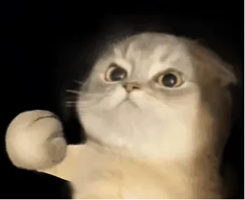 (猫猫揍人表情包)